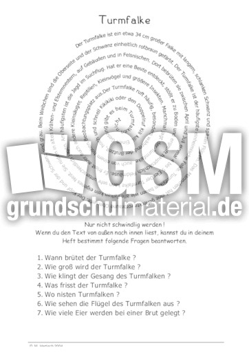 Turmfalke.pdf